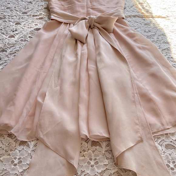 BCBGMaxAzria Dresses Nwt Bcbg Max Azria Blush Pink Chiffon Formal